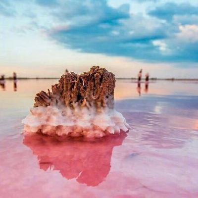 青丘狐传说游戏下载