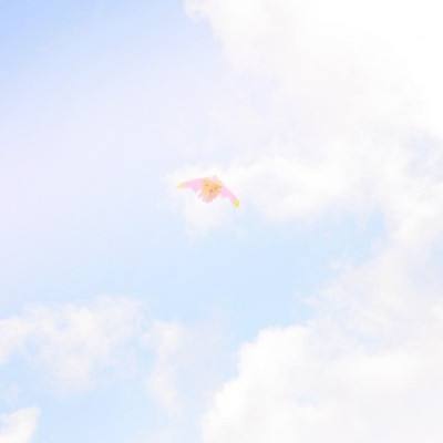 白发谣官方正式版下载